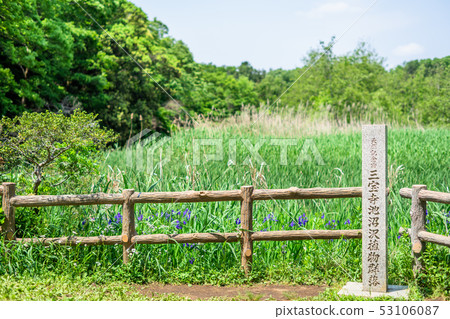 東京春天石垣公園 53106087