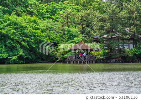 Tokyo Spring Ishigami Park (Sanhoji Pond) 53106116