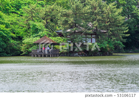 東京春天石垣公園（Sanhoji Pond） 53106117