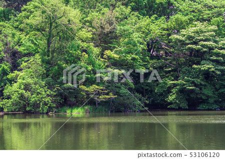 東京春天石垣公園(Sanhoji Pond) 東京春天石垣公園(Sanhoji Pond) 53106120