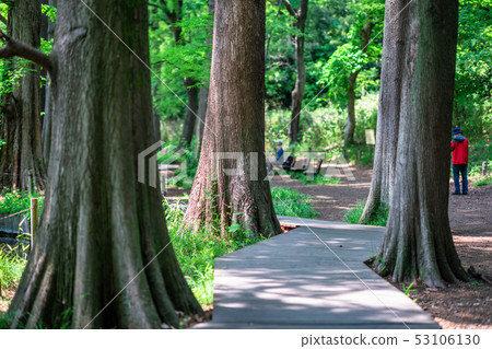 東京春天石垣公園 53106130