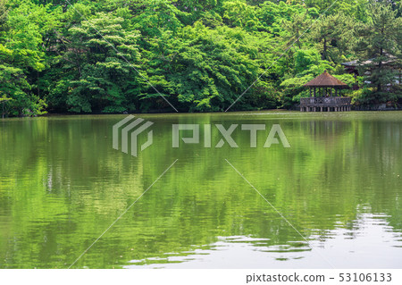 東京春天石垣公園（Sanhoji Pond） 53106133