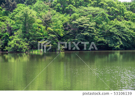 東京春天石垣公園（Sanhoji Pond） 53106139