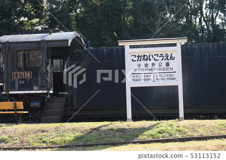 小金井公園的SL 53113152