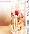 Herbarium 53116208