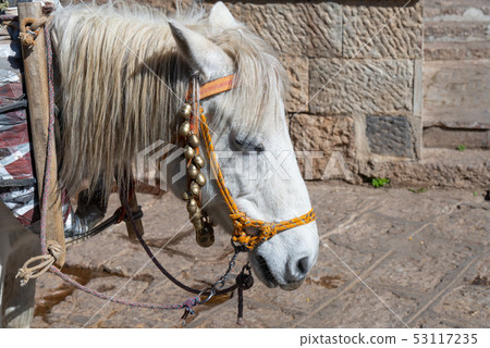 Old Town of Lijiang China 中國雲南麗江古城 World Heritage 53117235