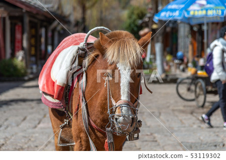 Old Town of Lijiang China 中國雲南麗江古城 World Heritage 53119302