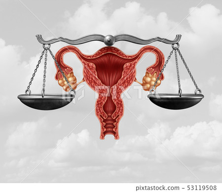 Abortion Legislation 53119508