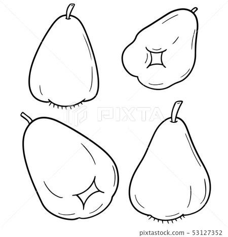 vector set of rose apple 53127352