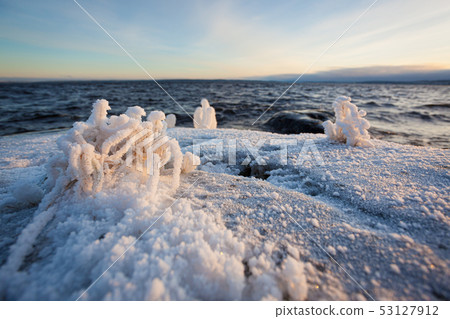 Small plant frozen in lake shore at cold winter morning 53127912