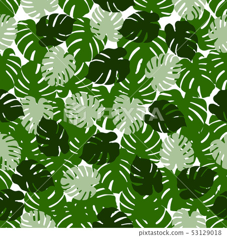 Tropical seamless pattern Monstera leaves. 53129018