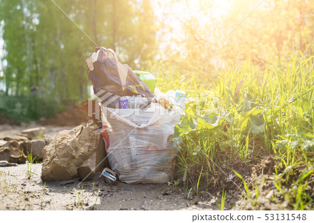 Photo of package with garbage, stone, grass in forest Photo of package with garbage, stone, grass in forest 53131548