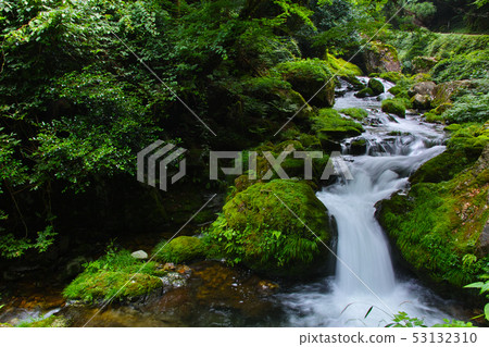 Kagano · Shiraka Valley 53132310