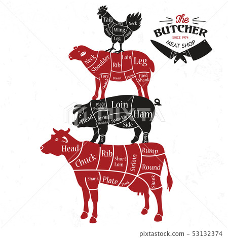 Meat cuts. Diagrams for butcher shop. Animal 53132374