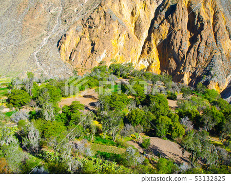 Green oasis on the bottom of Colca Canyon in Peru 53132825