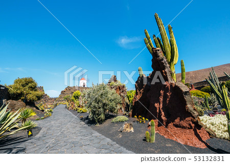 Windmill on blue sky background in cactus garden, Windmill on blue sky background in cactus garden, 53132831