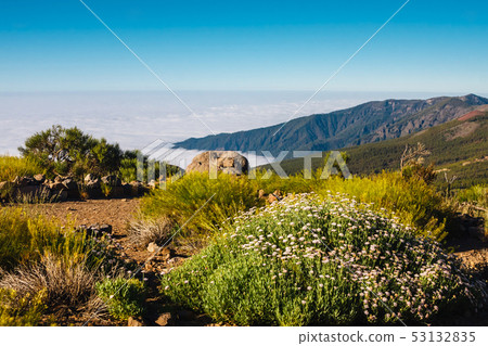 El teide volcano in the canary islands with a blue El teide volcano in the canary islands with a blue 53132835