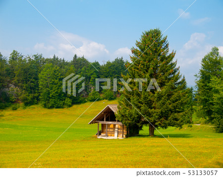 Wooden hut and tree in the middle of meadow 53133057