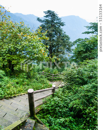 Stairs leading to summit of Mount Emei Stairs leading to summit of Mount Emei 53133164