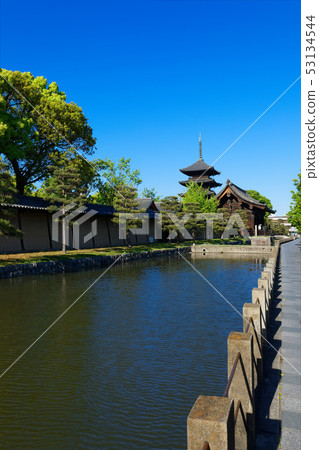 Landscape of the five-storied pagoda of Toji Temple and the waterside Landscape of the five-storied pagoda of Toji Temple and the waterside 53134544
