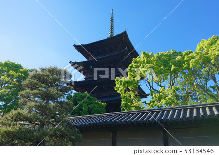 在Touji和Wakaba的五層塔上的新鮮綠色 在Touji和Wakaba的五層塔上的新鮮綠色 53134546