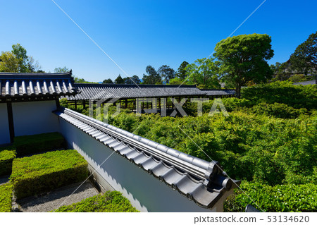 Tofuku-ji Honbo Garden Square and Eight-phase Garden West Garden 53134620