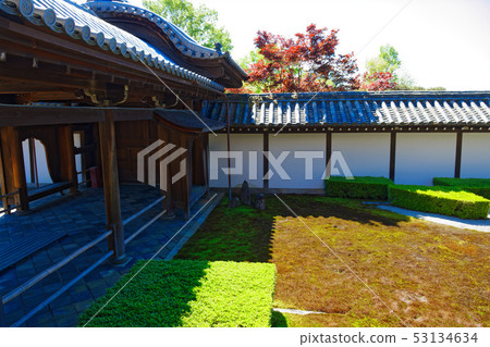 Tofuku-ji Honbo Garden Square and Eight-phase Garden West Garden 53134634