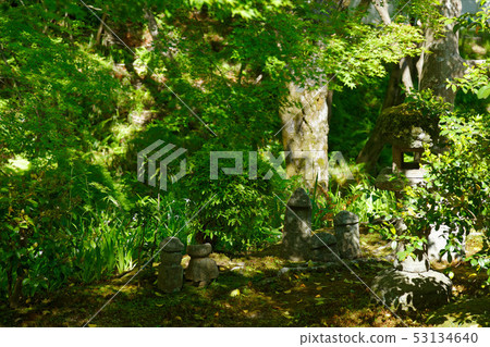 Tofuku-ji Honbo Garden Hoage and Eight-phase Garden North Garden Tofuku-ji Honbo Garden Hoage and Eight-phase Garden North Garden 53134640