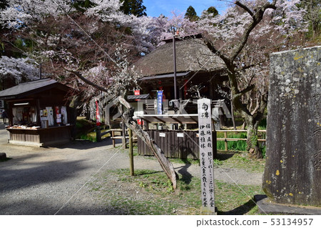 Chusonji寺 53134957