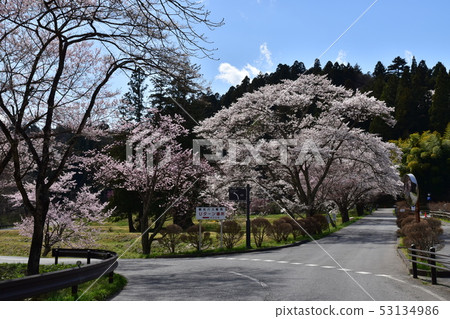 Chusonji Temple 53134986