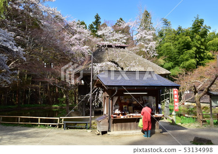 Chusonji Temple 53134998