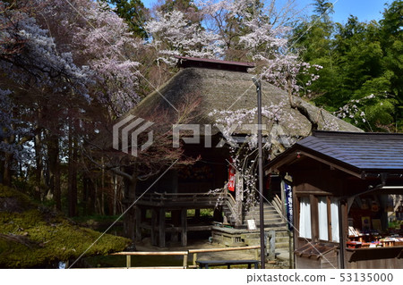 Chusonji寺 Chusonji寺 53135000