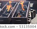 flame  53135004