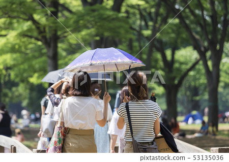 The back of a woman holding a parasol The back of a woman holding a parasol 53135036
