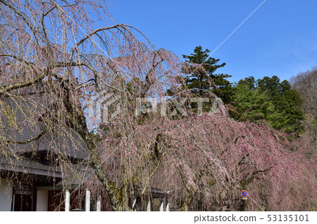 Kakunoda samurai house Kakunoda samurai house 53135101