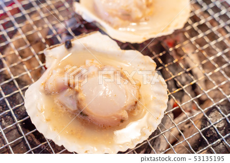 扇貝_木炭燒烤（木炭燒烤，烤烤，七環，一人，家庭飲用，燒烤，燒烤，烤肉，牛肉 53135195