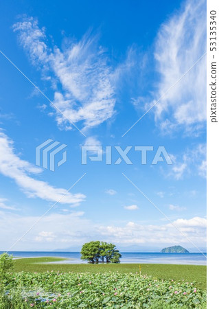 夏天的形象 53135340
