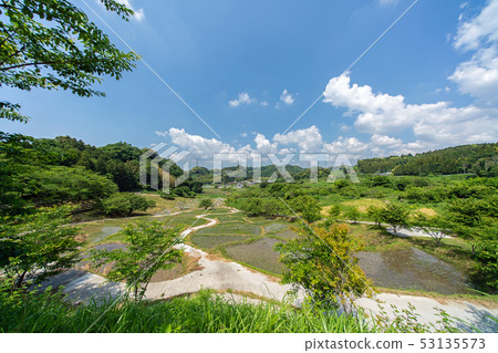Rice terrace of thousand frames 53135573