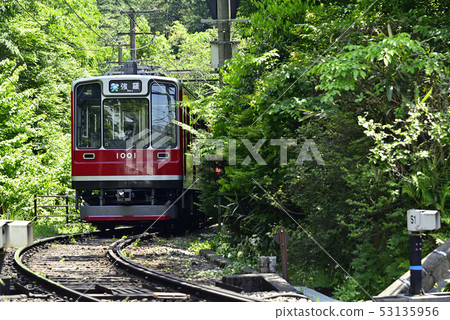 [夏季]箱根登山鐵道1000型[箱根町]神奈川縣 53135956