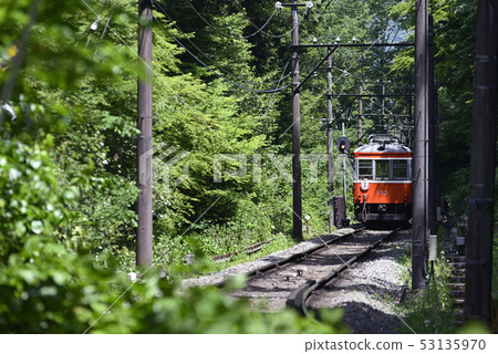 [夏季]箱根登山鐵道摩哈1103型[箱根]神奈川 53135970