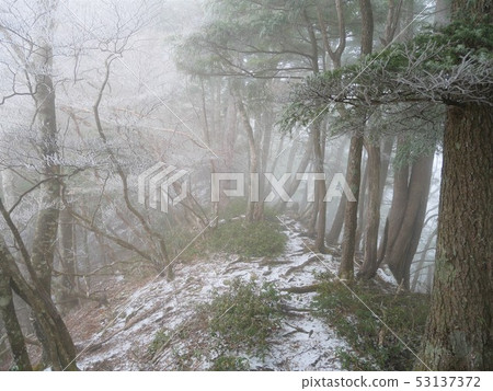 Yamanoyama在冬天 53137372