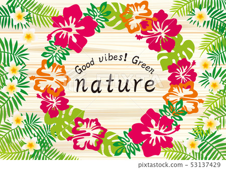 Hibiscus poster 53137429