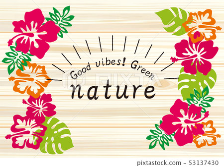 Hibiscus poster 53137430