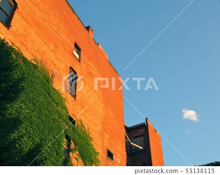 American brick building entwined with ivy 53138115