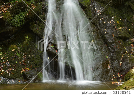 [Takatsuki City, Osaka Prefecture] Shirataki in the Settsu Gorge 53138541