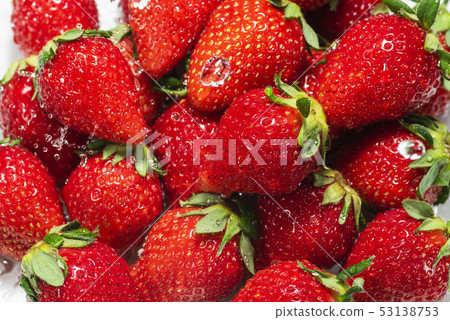 Image of fresh salmon Image of fresh salmon 53138753