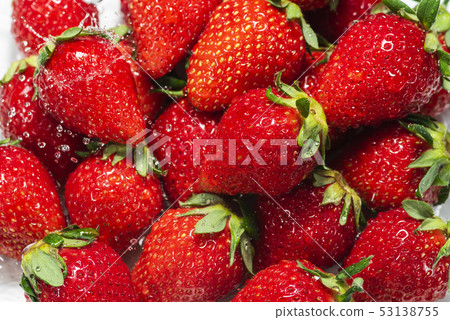 新鮮的三文魚的圖像 53138755