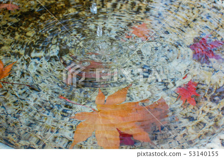 Bamboo faucet and fallen leaves 53140155