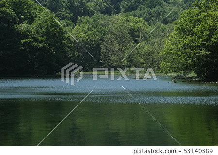 Shiba-Nanuma-Kakinuma 53140389