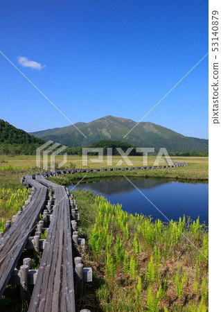 Ozegahara _ Ikebuchi and Shitsuyama _ late June _ vertical 53140879